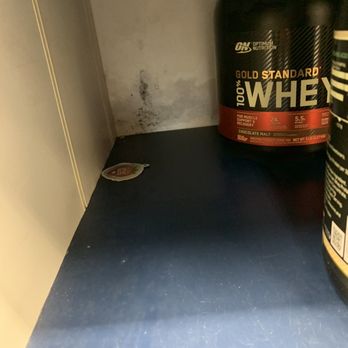 The Vitamin Shoppe - New photo of the old mold!!! They didn't take the proper steps to remove the mold. - Vitamins & Supplements Near Me - Metuchen, New Jersey