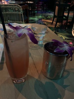 Selva Toronto by null