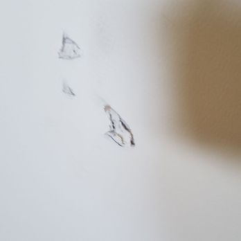 A Cut Above - Damage done by clean cut movers - Movers Near Me