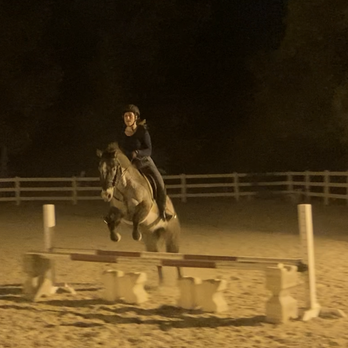 Over The Moon Equestrian - Horseback Riding Near Me - Moorpark, California