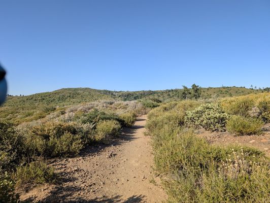 Noble Canyon Trailhead by null