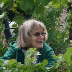 Triple Oak Vineyard - Owner Betty Tamm in the vineyard