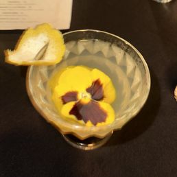 Honeybee - A clear glass cocktail with yellow edible flowers and a lemon wedge garnish on the rim, placed on a dark table.