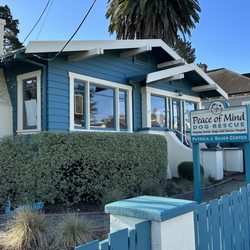 Peace of Mind Dog Rescue