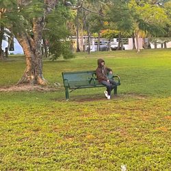 Merrie Christmas Park - The park