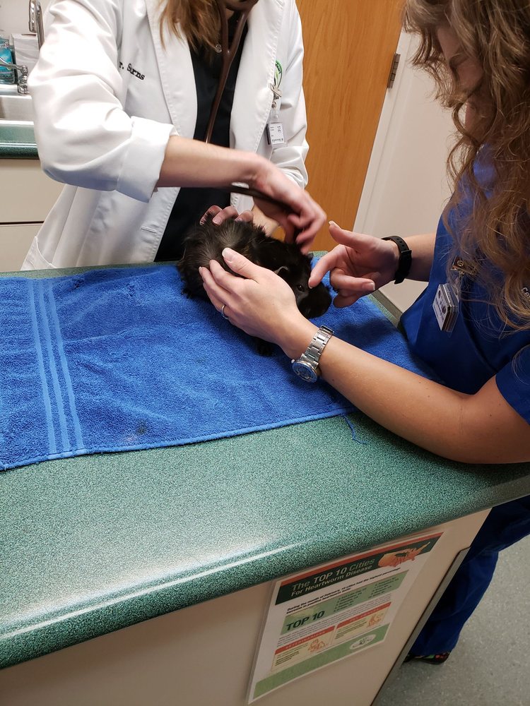 PARRISH CREEK VETERINARY CLINIC 21 Photos & 33 Reviews 86 N 70th W