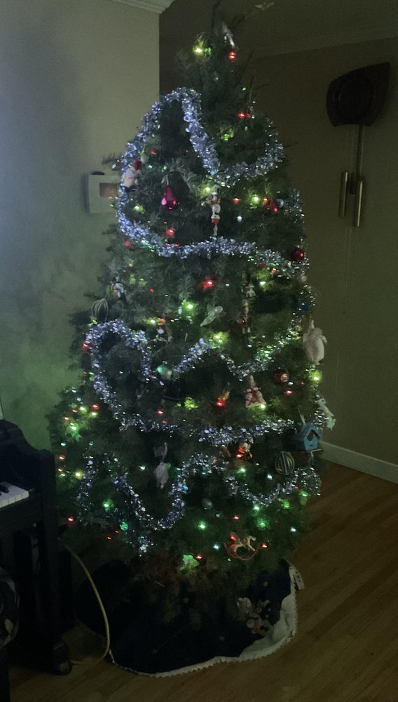 COLLEY TREE FARM Updated September 2024 11 Photos 1301 Hilltop Dr, Redding, California