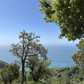 Nepenthe - New American Near Me - Big Sur, California