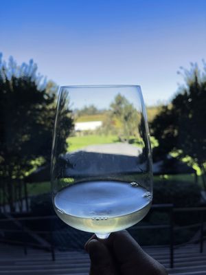 Rodney Strong Vineyards by null