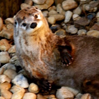 Montgomery Zoo - Zoos Near Me - Montgomery, Alabama