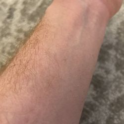 Daniel Zaghi, MD, MS