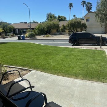 Misael Tree Service - Tree Services Near Me