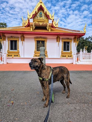 Wat Mongkolratanaram Buddhist Temple by null
