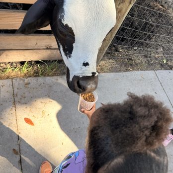 Hogan’s Place - Attraction Farms Near Me - Gibsonton, Florida