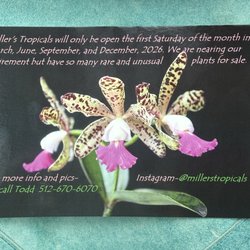Miller's Tropicals of Texas - Open dates for 2026