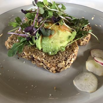 Wake Coffee Roasters - avocado cake - Coffee Roasteries Near Me - Ambler, Pennsylvania Wake Coffee Roasters - avocado cake - Coffee Roasteries Near Me - Ambler, Pennsylvania