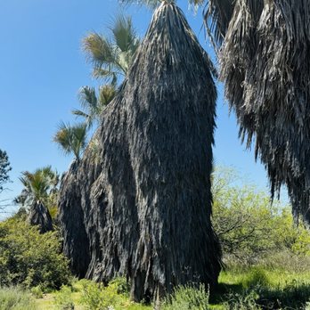 California Botanic Garden - Botanical Gardens Near Me - Claremont, California