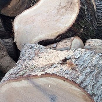 Carrozza Brothers - Tree Services Near Me Carrozza Brothers - Tree Services Near Me