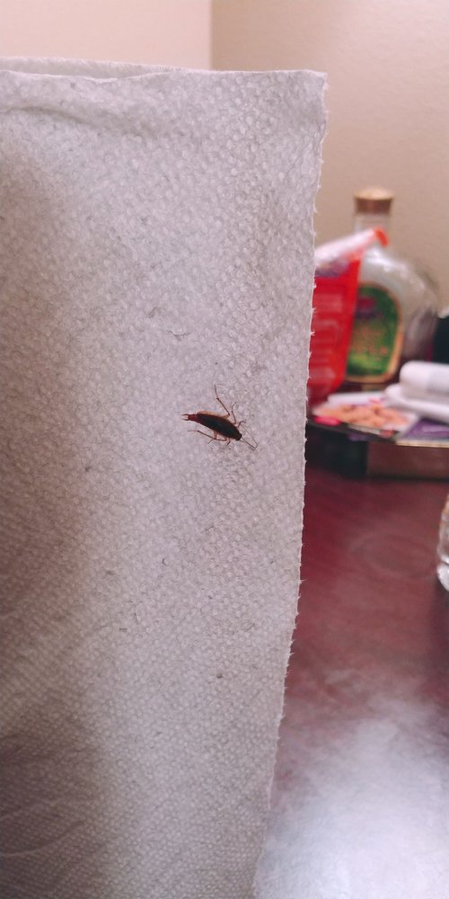 EXTENDED STAY AMERICA LONG ISLAND BETHPAGE 23 Photos & 30 Reviews Hotels 905 S Oyster