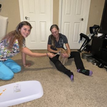 Zoomies Mobile Vet Care - Veterinarians Near Me Zoomies Mobile Vet Care - Veterinarians Near Me