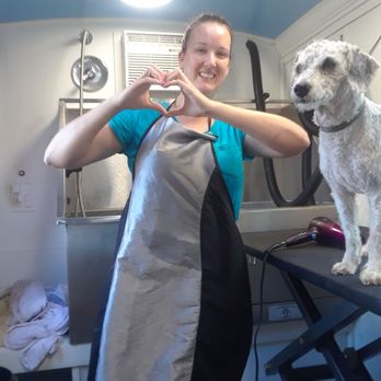 classy canines mobile grooming