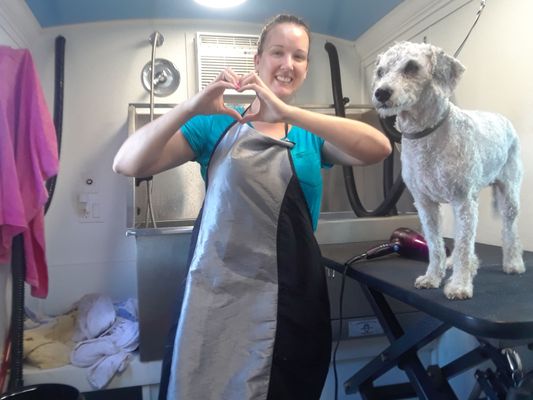 classy canine pet spa