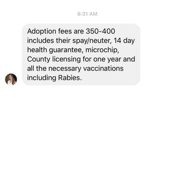 Ghost Town Dog Rescue - They won't even tell you in public how much they charge for fees because they are shady! They will only Private Message you! - Animal Shelters Near Me - Mesa, Arizona Ghost Town Dog Rescue - They won't even tell you in public how much they charge for fees because they are shady! They will only Private Message you! - Animal Shelters Near Me - Mesa, Arizona