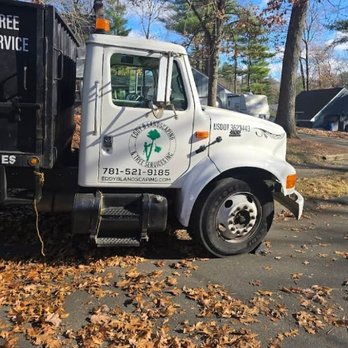 Eddy B Landscaping and Tree Services - Landscaping Near Me - Lynn, Massachusetts Eddy B Landscaping and Tree Services - Landscaping Near Me - Lynn, Massachusetts