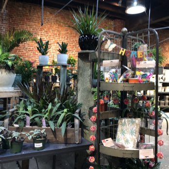 Urban Jungle - Inside - Nurseries & Gardening Near Me - Philadelphia, Pennsylvania Urban Jungle - Inside - Nurseries & Gardening Near Me - Philadelphia, Pennsylvania