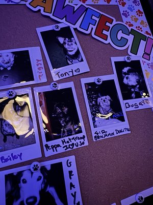 Drinks Lounge by null