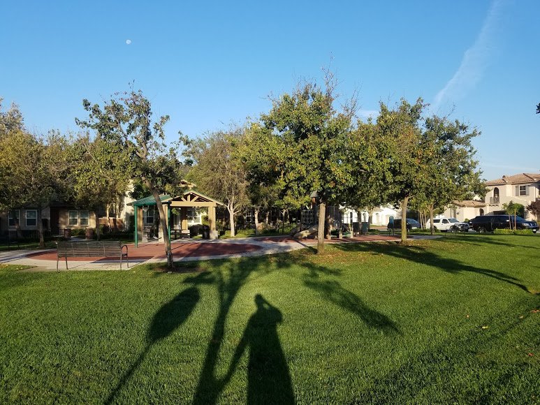Hidden Hollow Park Logo