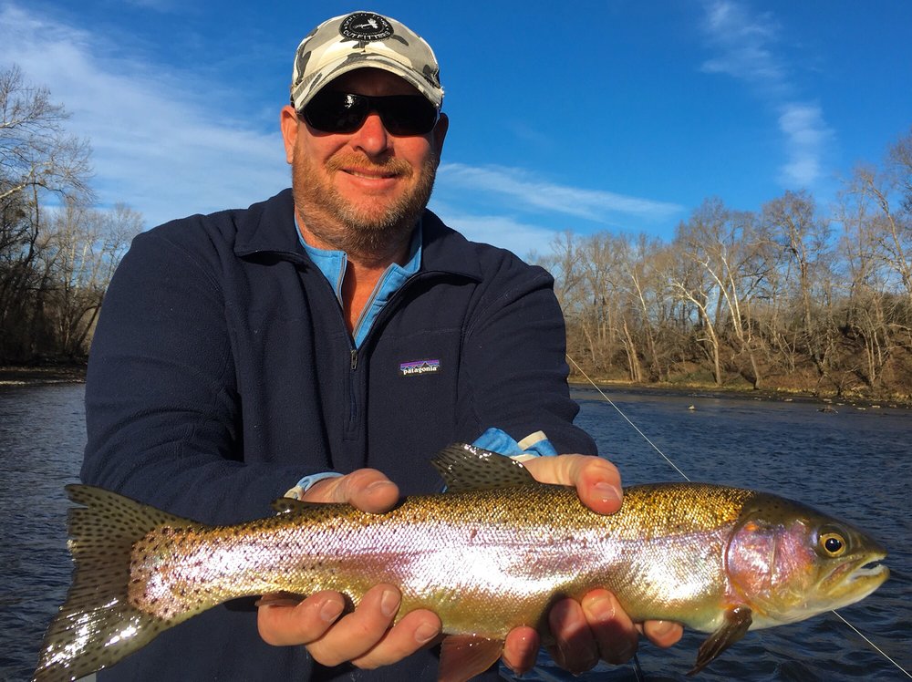 NORFORK RIVER RESORT Updated June 2024 13386 Hwy 5 S, Norfork