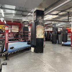 Gleason's Gym - Gym