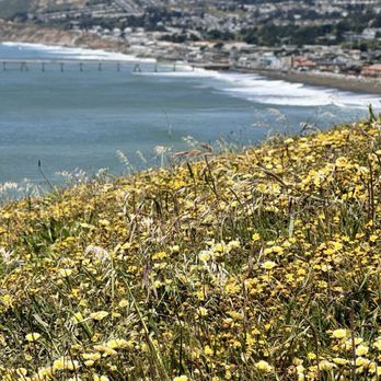 Mori Point - Hiking Near Me - Pacifica, California