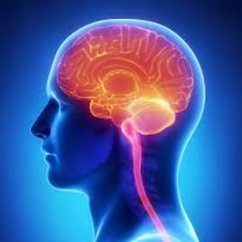 Hagan Jackson Neurology - Neurologist Near Me - Richmond, Virginia Hagan Jackson Neurology - Neurologist Near Me - Richmond, Virginia