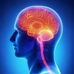 Hagan Jackson Neurology