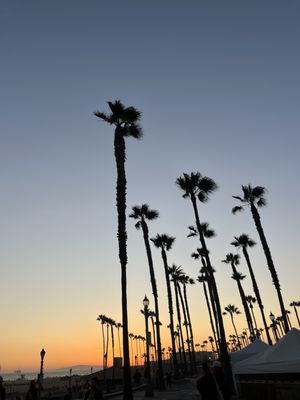 Sandy's Beach Shack by null