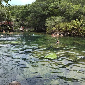 Cenote Jardín del Edén - Rocks to stand on- can be a bit slimy - Free Diving Near Me - Playa del Carmen, ROO