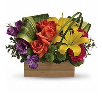 Weekly Flowers - Weekly Flowers - Shades of Brilliance - Florists Near Me - Ottawa, Ontario Weekly Flowers - Weekly Flowers - Shades of Brilliance - Florists Near Me - Ottawa, Ontario