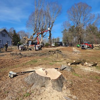 BH Enterprise & Landscaping - a tree being cut - Tree Services Near Me - Clemmons, North Carolina BH Enterprise & Landscaping - a tree being cut - Tree Services Near Me - Clemmons, North Carolina