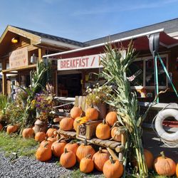 T.J.'s Farm Market & Cafe - Fall is in the air