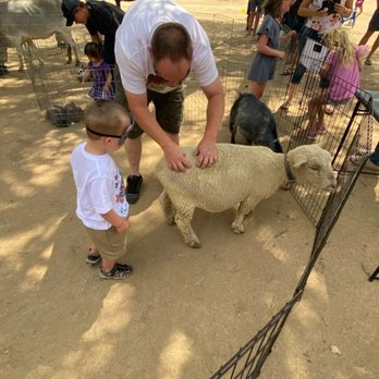 Reptacular Animals - I love the lamb - Party & Event Planning Near Me - Sun Valley, California Reptacular Animals - I love the lamb - Party & Event Planning Near Me - Sun Valley, California