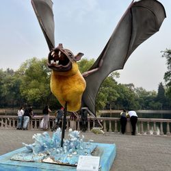 Bosque de Chapultepec - Murciélago