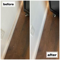 Citrus Clean Co
