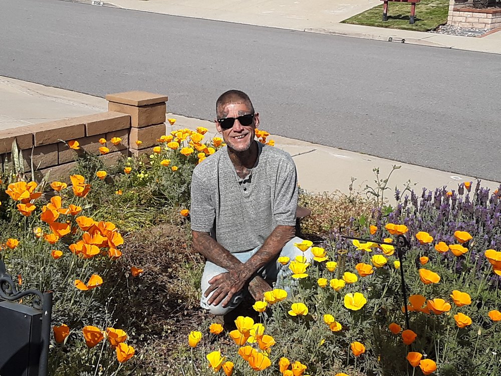 Slide of Most Wanted Roofing & Remodeling