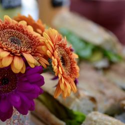 Hibiscus Dinners - Buffet presentation