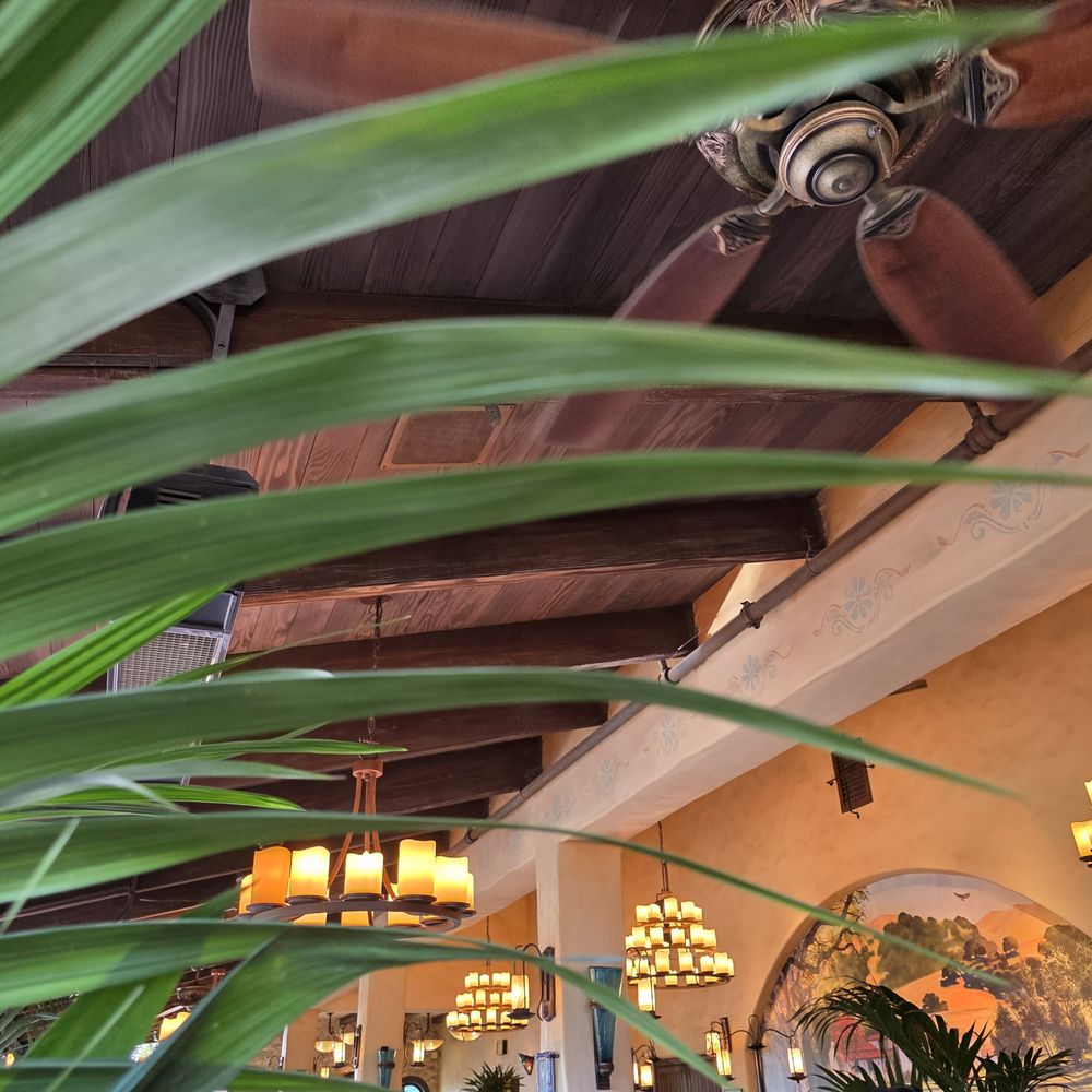 Magic Key Terrace - Magic Key Holder Dining - Magic Key Terrace - Wine Bars Near Me - Anaheim, California