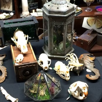 Noir Arts and Oddities - Various in tact Skeletons - Antiques Near Me - Kansas City, Missouri Noir Arts and Oddities - Various in tact Skeletons - Antiques Near Me - Kansas City, Missouri