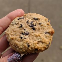 The Nut and Cranny - Chocolate chip cookie