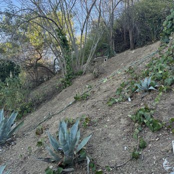 Angel's Gardening Services - Gardeners Near Me - Pasadena, California